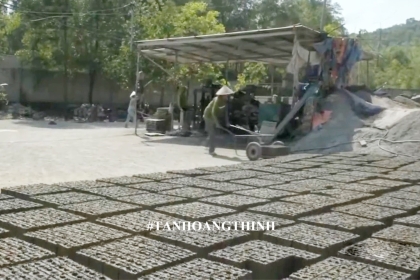 Gạch block không nung Miền Trung Gạch block không nung Miền Trung