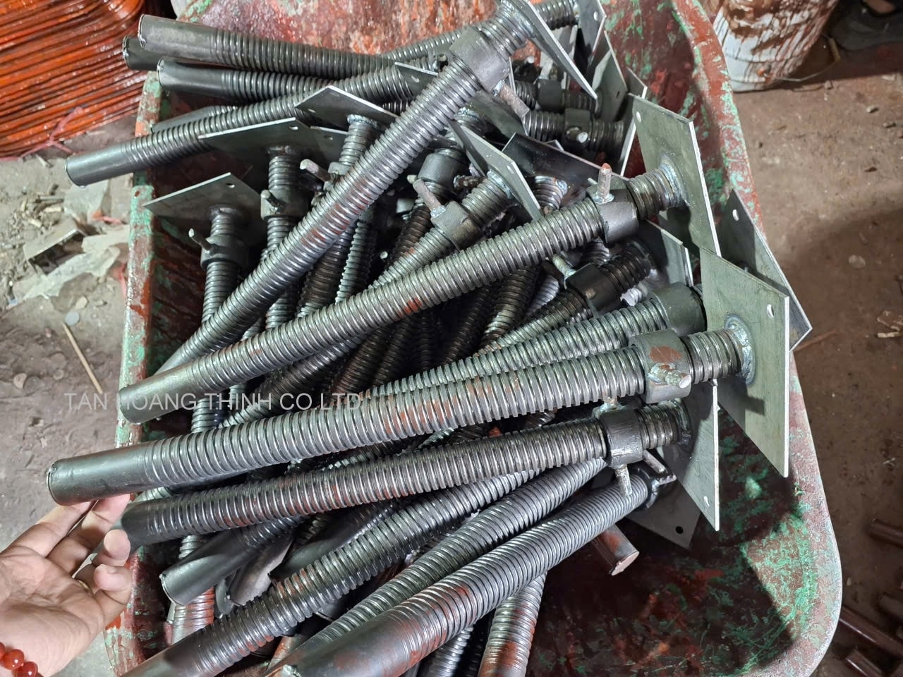 kich-tang-gian-giao-loai-lon